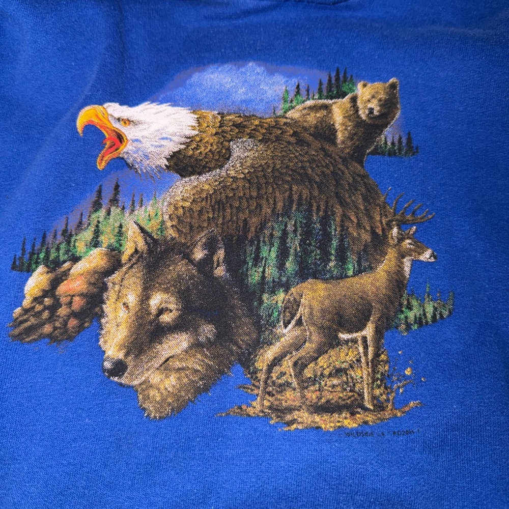 Vintage Hanes ComfortBlend Hoodie Youth L (14-16) Blue Nature Graphic